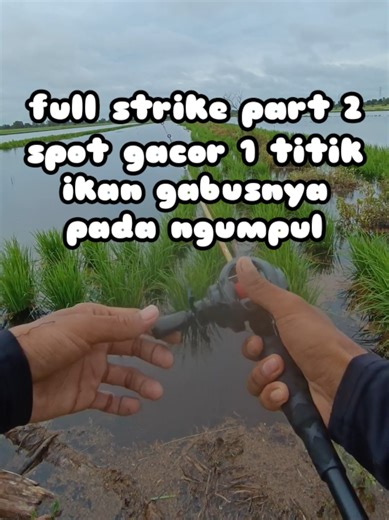 Casting Fishing Techniques for Striking Fish