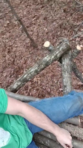 day4part1#bushcraft #technology #primitivetechnology #hut #building #camping #survival #forest #logs