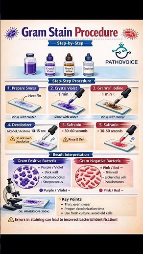 Gram stain procedure ✅ #madical #pathology #shortvideo #tranding #tranding