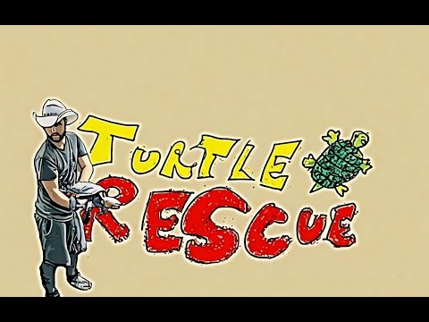Snapping Turtle Rescue Song