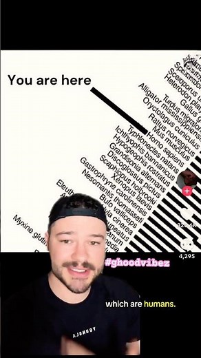 Phylogenetic Tree Explained: How Life Is Connected #ghoodvibez #ryborepost #biology #zoology #learn