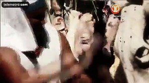 Capitulo 185 Moises Y Los Diez Mandamientos cap 186 - video Dailymotion