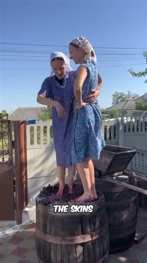 Why Do Some Wineries Still Crush Grapes With Their Feet?