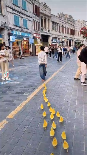 Feel heart ❤️ Heart Wisdom #feel #heart #foryou #viral #trending #fyp #sad #shorts #kathnoruwe