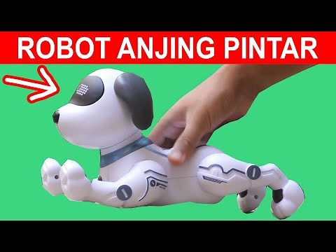3 ROBOT ANJING PINTAR, CANGGIH DAN LUCU