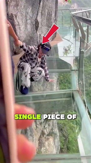 Are Glass Bridges Actually Safe? 🌉 #Shorts #AmazingFacts