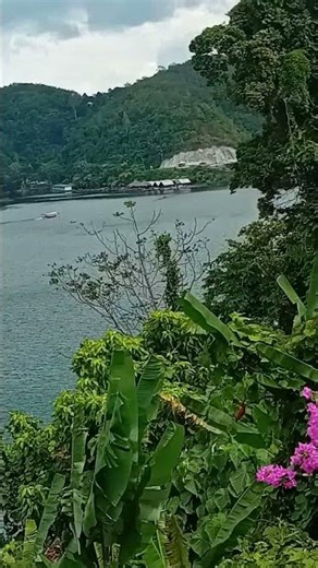 Красивые горы, река и дерево в форме собаки 🏔️🐶