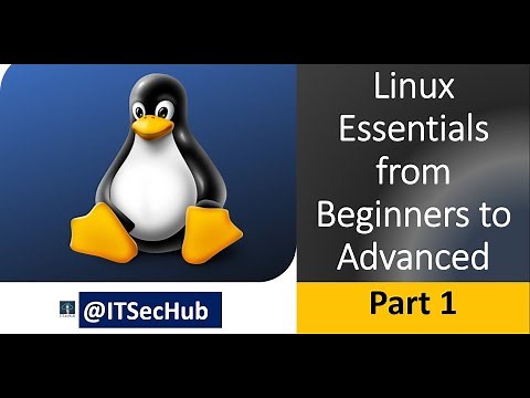 Linux Essentials | Know how to change your Shell to Bash
