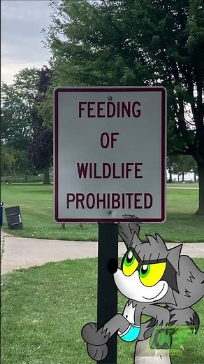 A walk in the park... #2danimation #animation #indieanimation