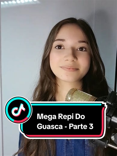 Mega Repi Do Guasca - Parte 3 com Xirú Missioneiro