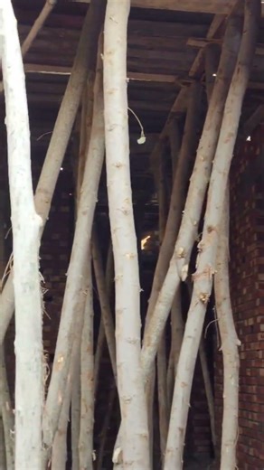 Shuttering Process Step by Step | Strong & Smooth Construction | 1 Kanal House