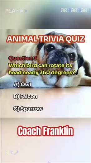 ZOOLOGY QUIZ - TEST YOUR KNOWLEDGE #GENERALKNOWLEDGE #SCIENCE #MATH #BIOLOGY #ZOOLOGY #ENGLISH #GRAMMAR #VOCABULARY #CHEMISTRY #PHYSICS #GEOGRAPHY #ASTRONOMY #ASTROLOGY #HISTORY #LITERATURE #MYTHOLOGY #PALEONTOLOGY #ANATOMY #VIRALPOST #FOODFORTHEBRAIN #QUIZ #TEST #CoachFranklin #PLURALNOUNS #COLLECTIVENOUNS | Franklin - Online LET, CSE, IELTS & Celpip Private Tutorial | Facebook