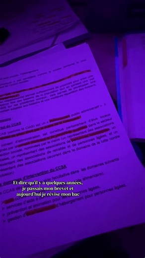 La Nostalgie des Examens : Révisions du Bac