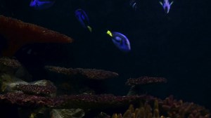 5K views · 63 reactions | Recognise a famous face or two? As we’re...