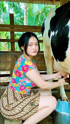 How to milking easily #shortvideo