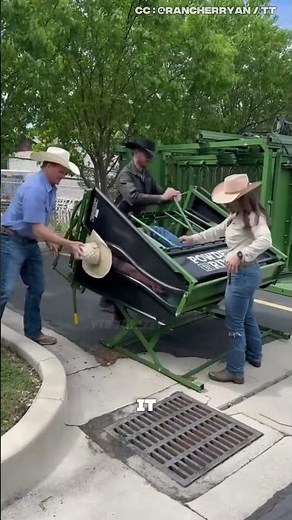 Castration Tool Demo