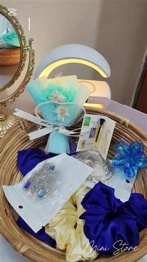 Mini Store on TikTok