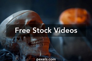 Freehorror Scenes Videos, Download The BEST Free 4k Stock Video Footage & Freehorror Scenes HD Video Clips