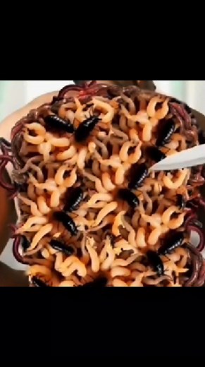 Cockroach 🪳 #shortsreels #asmrvideo #animationvideo #animation #asmr | Zig Zag ASMR