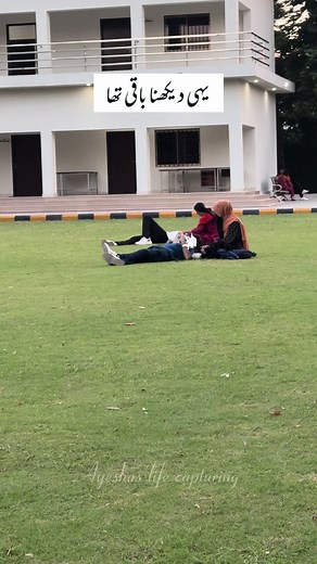 Consultoría de Negocios: Humor y Estrategias