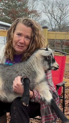 Jeanna DiVietro on Instagram: "emotional support goat and ornithophobia (fear of birds) thank you Patricia (passenger) for showing us around your farm #NarcolepsyTourette #TicsTripsTruths #Narcolepsy #Tourettes #farmanimals"