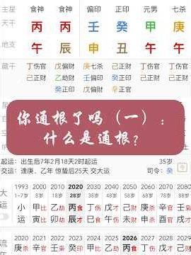 什么是通根？#八字 #八字命理 #易经 #风水 #八字基础