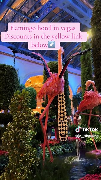 Discover Amazing Deals at the Flamingo Hotel Vegas