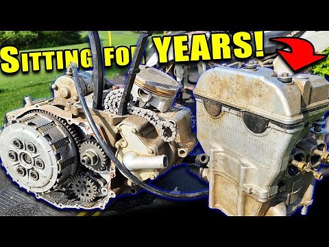$500 Predator Motor Breakdown, Porting and Cleaning (What a mess...)