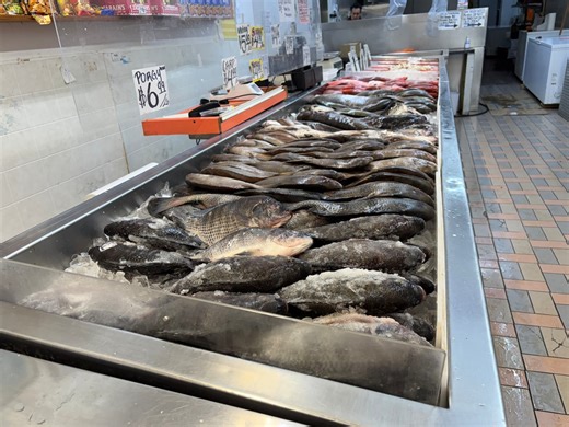 The 12 best fish markets on Staten Island for 2024