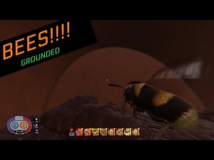 Bees and how to farm them in Grounded