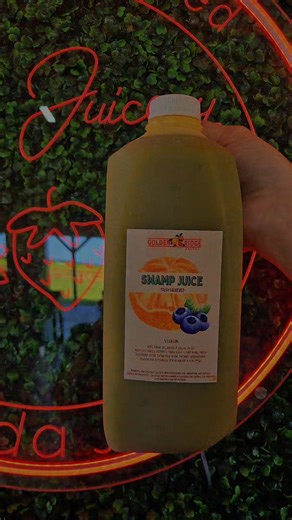 🍊🫐 SWAMP JUICE?! Feeling froggy!? Come on out to Golden Ridge Groves and try our Swamp Juice!! We make all natural, fresh squeezed, unpastuerized juice!! Come on out and sample! 🕙 Open Tuesday - Saturday, 10am - 6pm 📍 Located at 2129 Alturas Rd., Bartow FL 33830 #swampjuice #goldenridgegroves #freshsqueezedjuice #bartow #polkcounty | Golden Ridge Groves