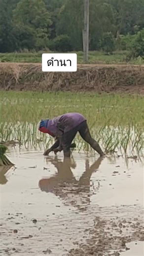 Ratchanee Meepain บน TikTok