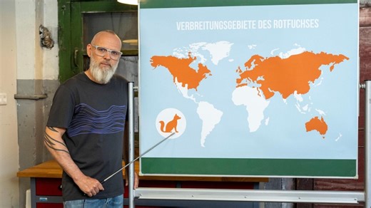 Wissen vor acht - Natur: Schlau und scharfsinnig: der Rotfuchs