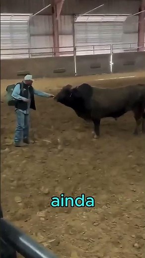 A MAN with that BULL 😱😱