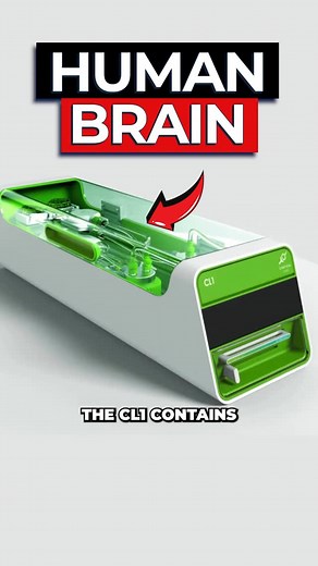 Dr Ben Miles on Instagram: "Scientists Create World’s First Living Computer⁣ ⁣ Cortical Labs have created a living computer that uses human neurons to process information, and it’s already on the market. The CL1 is the world’s first biological computer that allows you to deploy code, and could pave the way to better understanding how we develop knowledge as a species.⁣ ⁣ #biologicalcomputer #livingcomputer #neurons #breakthrough #shorts"