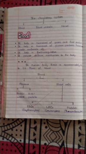 Describe The Circulatory System #study #biology #neet #blood # heart #science #blood circulation