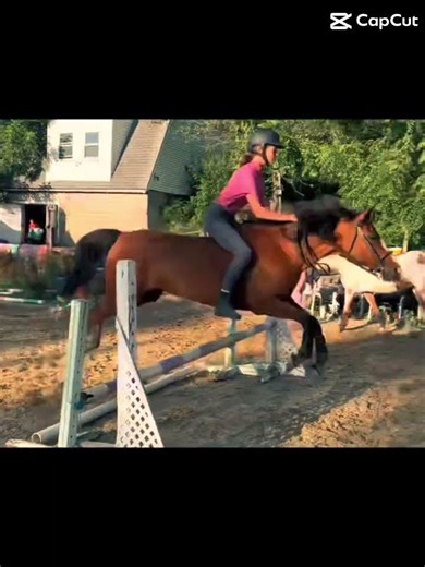 Edit by @Lulu_ringo #horse