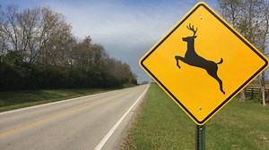 KYTC issues annual ‘Antler Alert’ for Ky. drivers