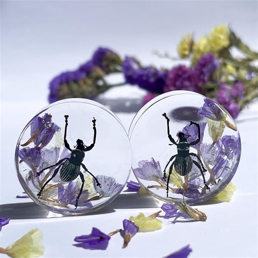 Real Weevil Insect Plugs With Flowers: Handmade Bio Resin Gauges - Etsy