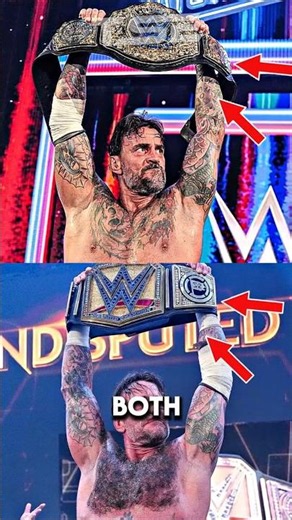 CM Punk Is The First Wrestler To Hold Both Modern WWE World Titles In The Same Year 😨 #wwe