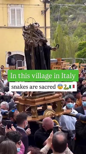 Every May 1st, during the celebrations for Saint Dominic Abbot, there is the Serpari Rite in Cocullo, Abruzzo region 🇮🇹🐍 The “Serparo” is the central figure of the rite, the one who collects non-venomous snakes that are placed on the statue of the Saint and paraded through the square of this small village. According to tradition, the Saint, before leaving Cocullo, removed one of his teeth and gifted it to the people, sparking a faith that replaced the pagan worship of the Goddess Angizia, pro
