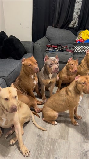 💲BBK🩸 | MAN I GOT THE BEST LINEUP IN GAME🔥RESPECTFULLY BBK BIGBODYs 🔥 #bigbodyentertainment #bigbodyinspiration #bigbodymotivation #bigbodymovement | Instagram