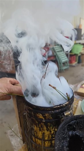 Join Beekeeper Bootcamp This Season