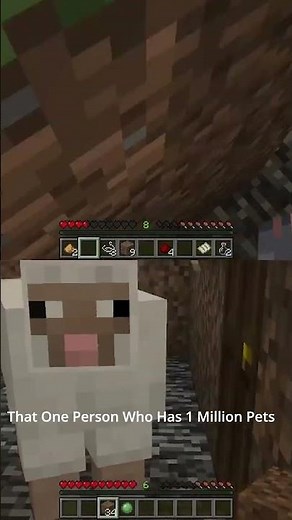 Someone Need To Take Care Of This #minecraft #isurvived100daysminecraftinhindi #gaming