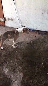 23K views · 639 reactions | I left this girl on her towel to dry off...