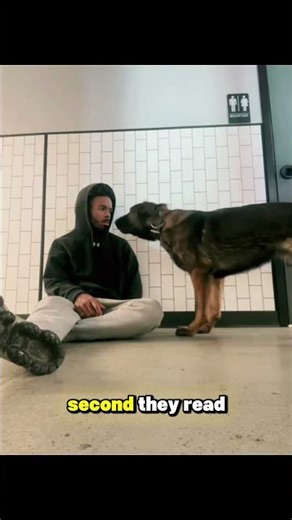 How Dogs Read Body Language 🧍‍♂️🐶