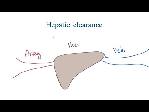 Hepatic clearance: Concept and Advanced Calculation / Drug Dynamic