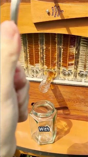 This Beehive Harvests Honey Automatically