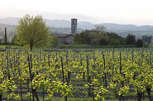 Beyond Prosecco: Sip on these forgotten sparkling wines from Italy