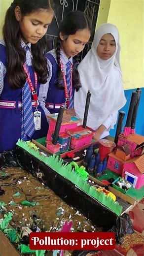 Class 5th Science Project